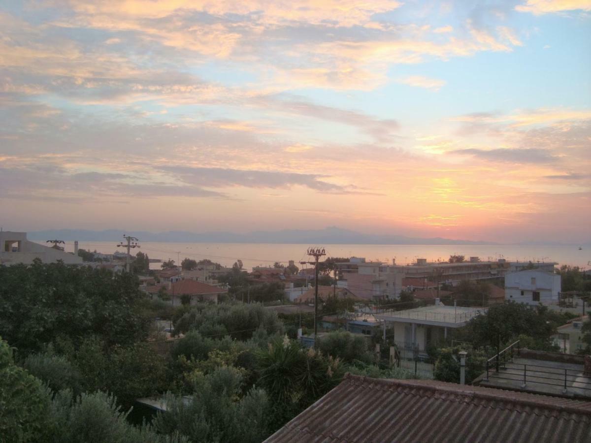 Smile House Near Athens Airport 300M From The Sea Villa Artemida  Exterior photo