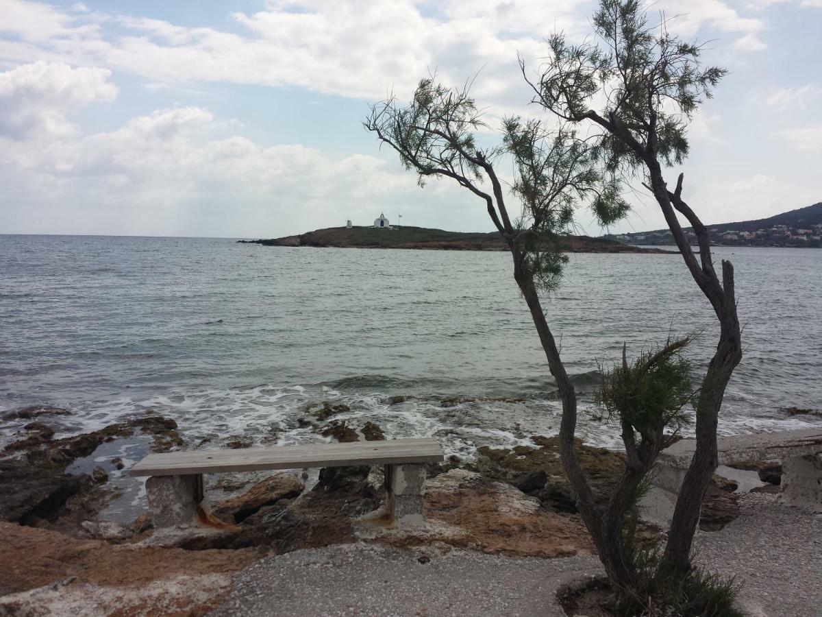 Smile House Near Athens Airport 300M From The Sea Villa Artemida  Exterior photo
