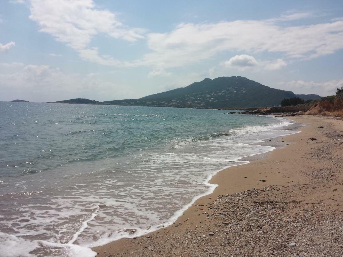 Smile House Near Athens Airport 300M From The Sea Villa Artemida  Exterior photo